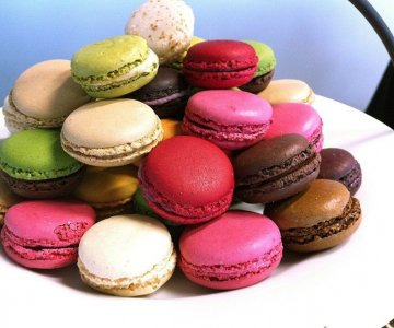 MACARON 6'LI