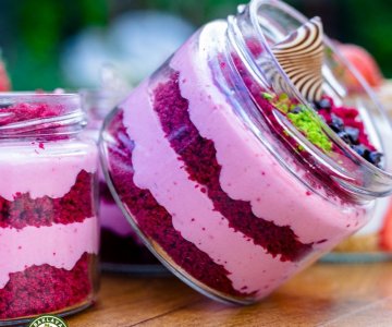 MANGOLİA ÇEŞİTLERİ